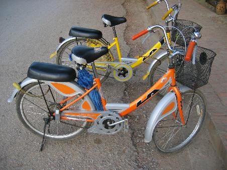 Diese Bikes sind ideal zum "Cruisen" in der Stadt...Gibt's solche eigentlich auch in der Schweiz?
