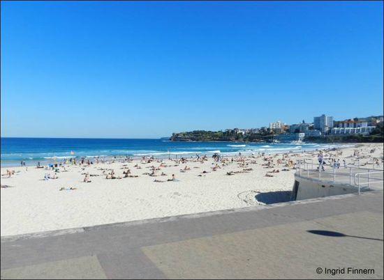 Bondi Beach