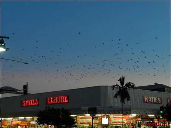 Hitchcock laesst gruessen