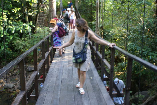 Auf der Haengebruecke.