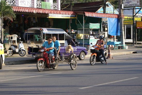 Man beachte den Hund auf dem Moped