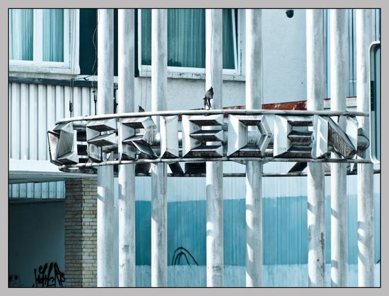 Frieden - was sonst?!