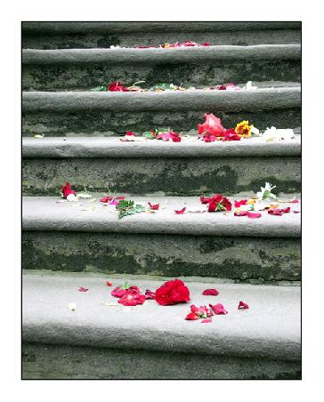 Hochzeitsblumen