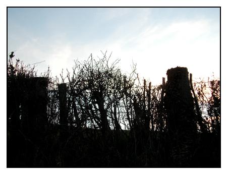Idyll.