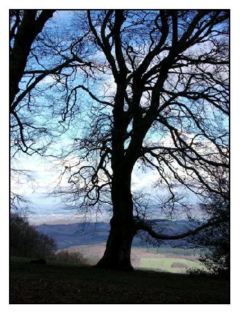 Aussicht ins Tal.