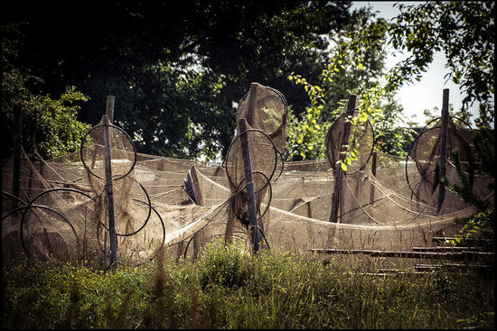 Fischer entwirren ihre Netze.