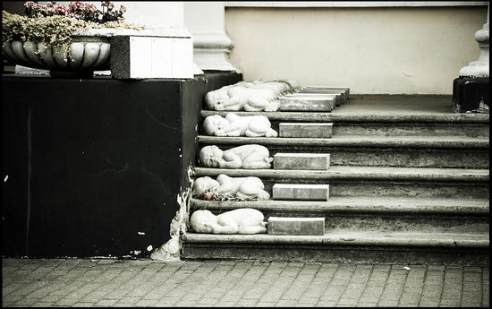 Die toten Babys können wir zunächst nicht richtig deuten. Dann finden wir heraus, dass das ein moralischer Zeigefinder der Kirche sein soll. Jedes Steinbaby ist ein real abgetriebenes Baby. - makaber.