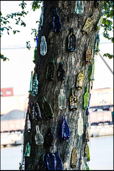 Es gibt nicht nur Kühe in Ventspils.