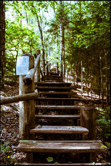 treppauf, treppauf, treppauf ... und viele Stufen pfeifen auf dem letzten Loch. Endlich mal nicht nur im Autositzen - sondern Fitness.