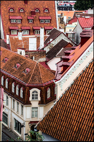Blick auf die Altstadt