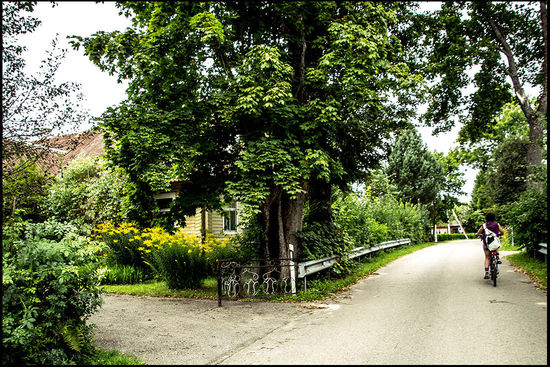 Dorfstraße in Meironys