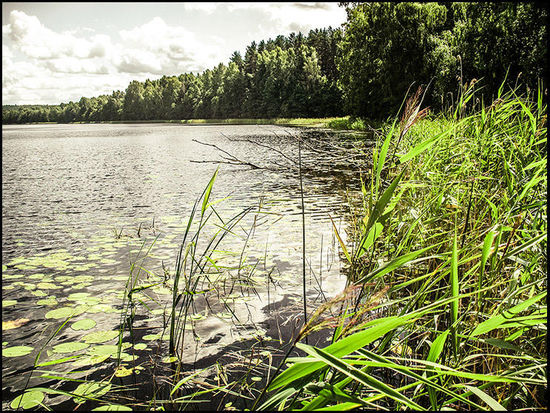 Doch die Seen mit dem Kajak zu befahren ist nicht sonderlich aufregend, höchstens gefährlich. An einem morschen Steg machen wir halt und trocknen uns ein wenig. An Land man kommt von hier aus nicht, da der Steg dafür zu kaputt ist.
Wir stellen nun fest, dass wir kein Geld und kein Handy dabeihaben und im Notfall weder Hilfe rufen, noch uns ausweisen können.
Wow!
