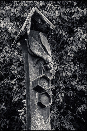 200 Bienen benötigen 1 Tag lang, um 1 Löffel Honig zu sammeln.