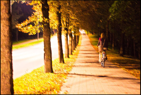 Auf dem Weg zurück zum Campingplatz.