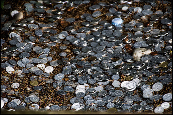 Geld auf einem Ameisenhaufen. Ist das nur eine Spende oder soll das (auch) Glück bringen?