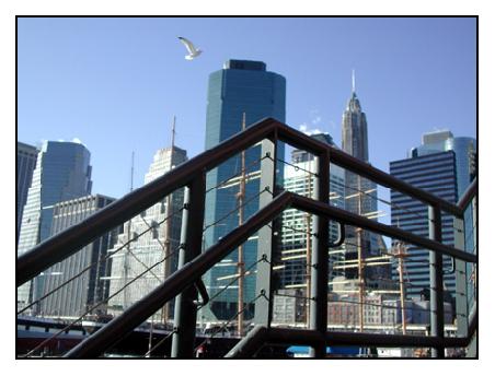 Blick Richtung Financial District.
