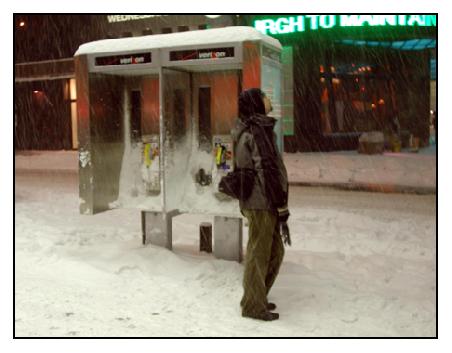 Im Schneegestöber.