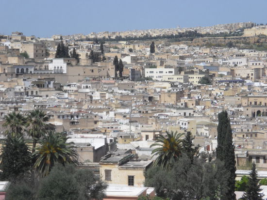 Fes - Medina