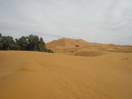Erg Chebbi