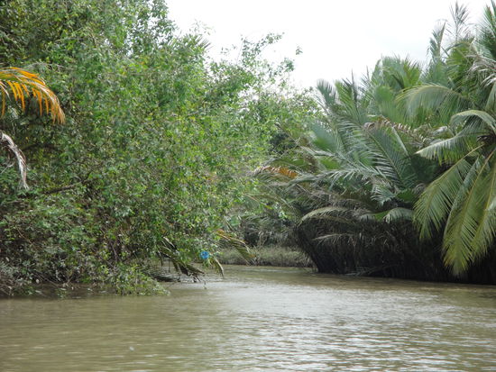 Mekong Delta!
