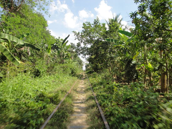 Bambootrain!