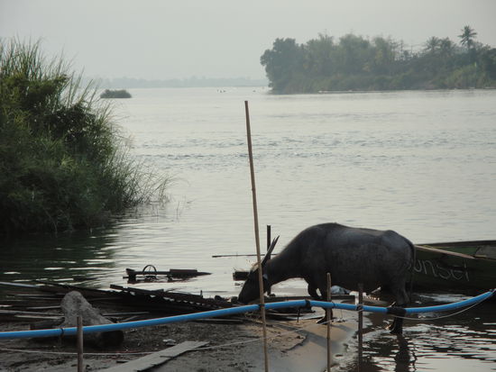 Don Det (4000 Islands)