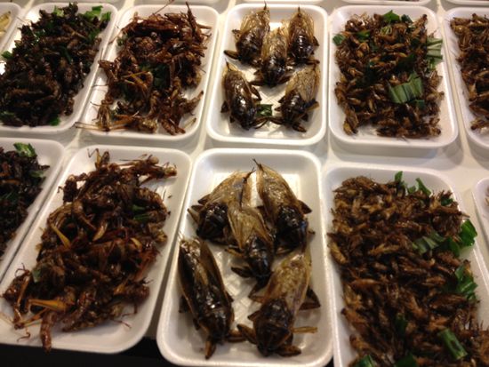 Gebratene Heuschrecken...