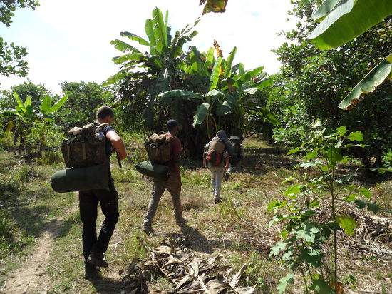 Ankunft in der Bananenplantage