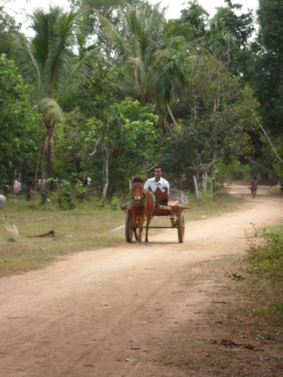Wer braucht schon Autos...