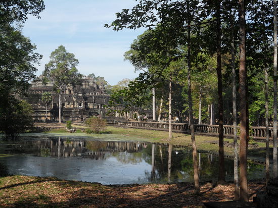 Dieser Tempel war voellig ueberwuchert...