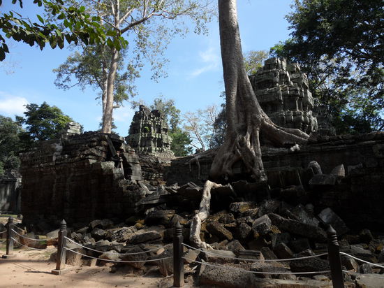 zum Teil von den Baeumen schon zugewachsen..