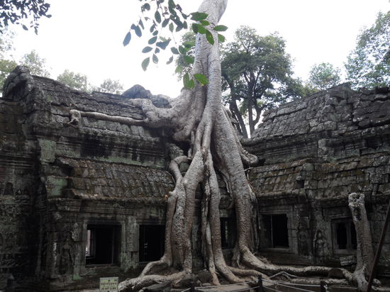 Sieht aus wie im Film, oder?