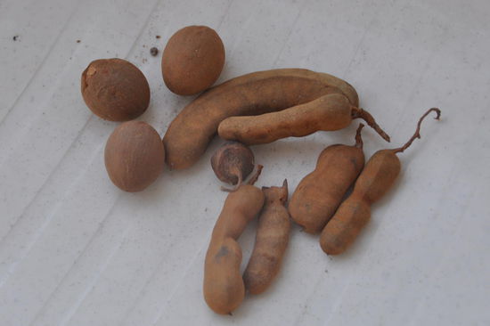 fuer papa und christian.........