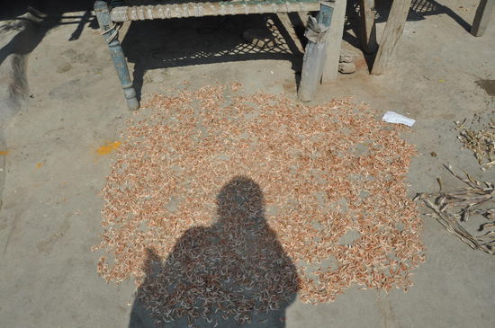 und noch meeeeeeeerrrrrrrrrrr