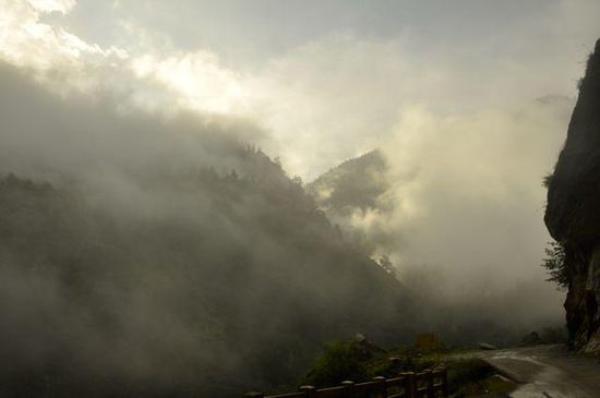 ....im nebel
