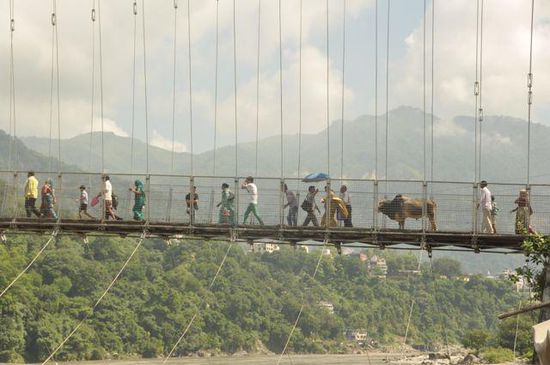alle wirklich alle gehen über diese Hängebrücke....