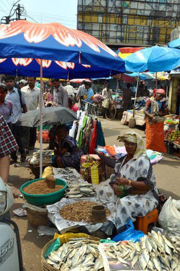 Mapusa