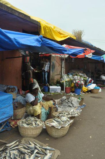 Mapusa
