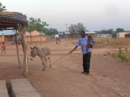 Das Bild ist direkt vor unserem Haus aufgenommen. Im Hintergrund, sind Clinik-Gebäude. Der Esel ist der neueste Familienzuwachs. Er holt demnächst das Wasser für die Familie und die Baustelle (eine neue Schule, die von meiner Gastmutter errichtet wird),