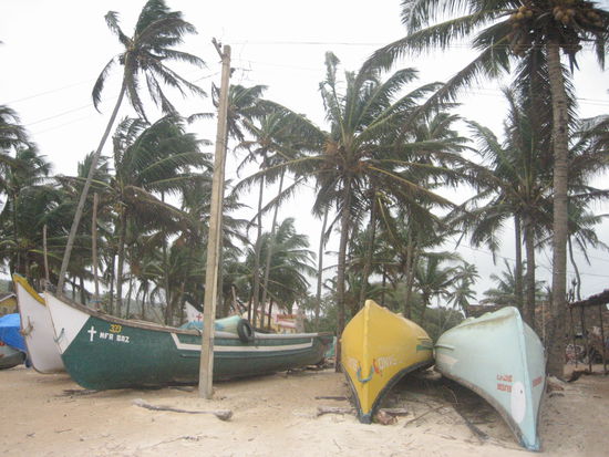 Baga Beach, North Goa