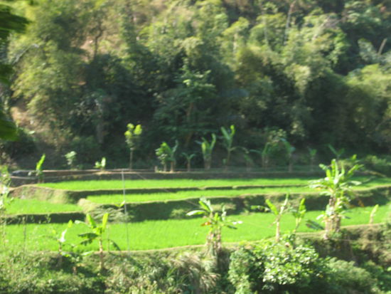 Schnappschuss aus dem rasenden Bus