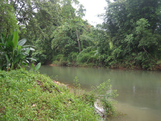 der Fluss, der sich teilweise...