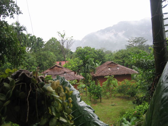 Unser Dschunel Village "Morning Mist"