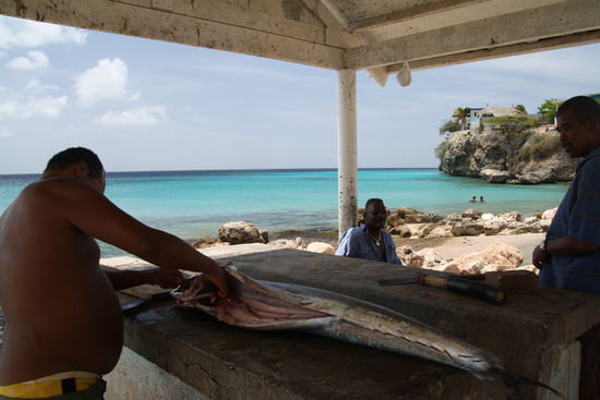 Playa Grandi - dort wo die Schildkröten schwimmen