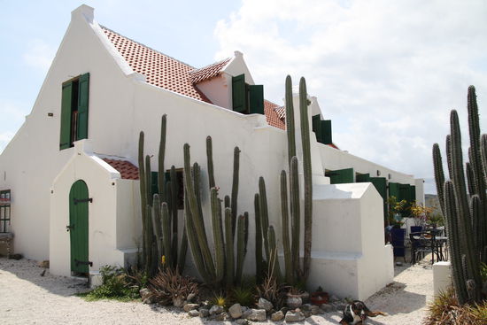 Gallery Nena Sanchez