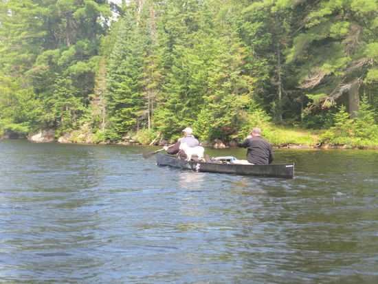 Der kleine Bootsmann musste mit...