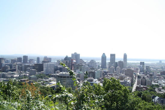 Der Blick vom Mont Royal -der Stadtpark von Montreal oerhalb der Stadt. Gestaltet vom selben Landschaftsarchitekten wie der Central Park in New York