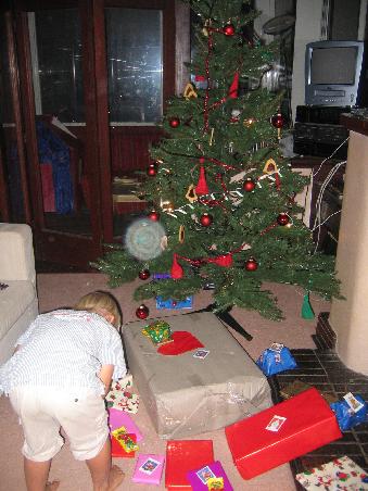 der weihnachtsbaum, sieht doch aus, wie echt und tim inspiziert die geschenke
