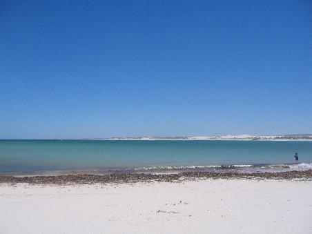 der schoenste strand bisher (aber auch das kaelteste wasser), nicht allein wegen der delfine, mit denen wir zufaelligerweise im wasser waren (ganz hinten die sandduenen)
