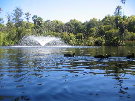 Hyde Park- eine kleine Oase in Perth